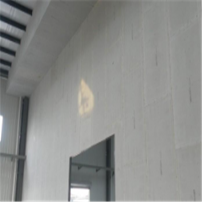 凤阳新型建筑材料掺多种工业废渣的ALC|ACC|FPS模块板材轻质隔墙板